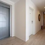 Solaris 16 Strandnah Und Hundefreundlich